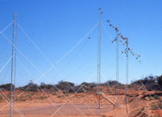 Riometer antenna: Note the vertical masts (the back-plane); the chook-wire covered bare patch of sand (the ground-plane); and the Galahs ready to play. Photo: Jim Gregg.