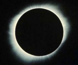Total eclipse observed at Hamelin Bay; 350 Km south of Lancelin: Image - Mick Wolf